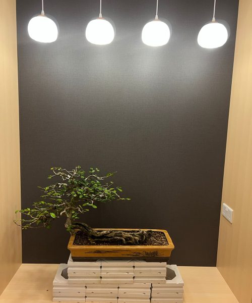 Interior dining room of MIYU Japanese Omakase restaurant Dempsey Hill Singapore